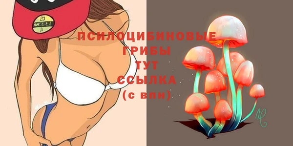 spice Алексин