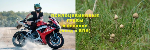 эйфоретик Алзамай