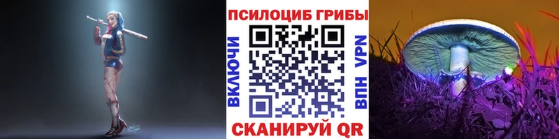 ссылка на мегу маркетплейс  Обнинск  Галлюциногенные грибы прущие грибы 